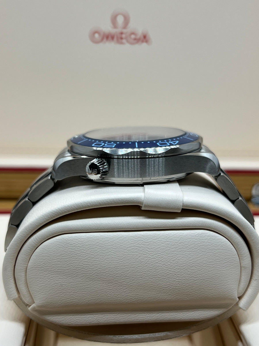 New/Sized Omega Seamaster Professional Summer 210.30.42.20.03.003 Box & Papers Dated 2023