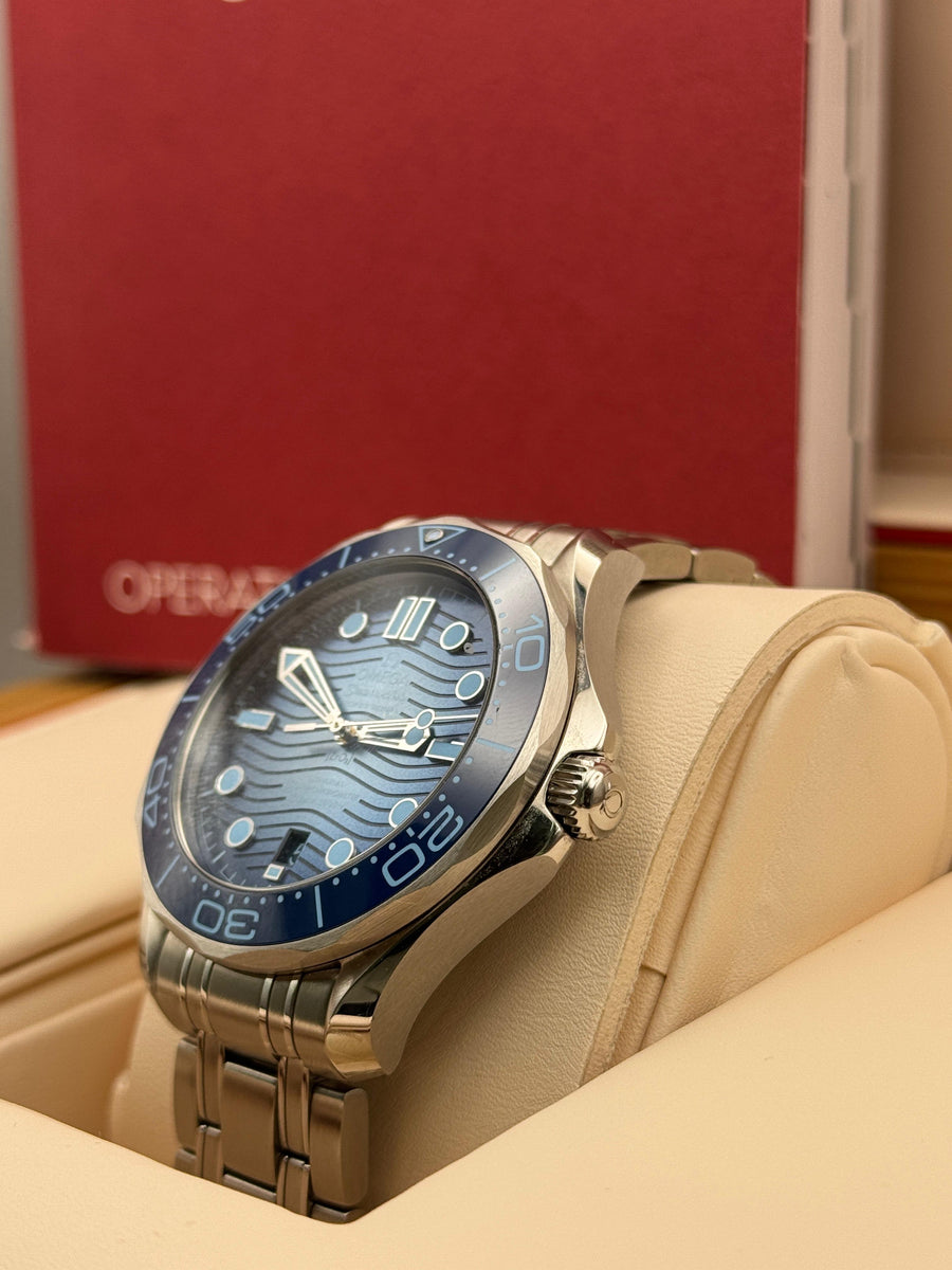 Omega Seamaster Professional 210.32.42.20.03.002 Complete Set Dated 2023