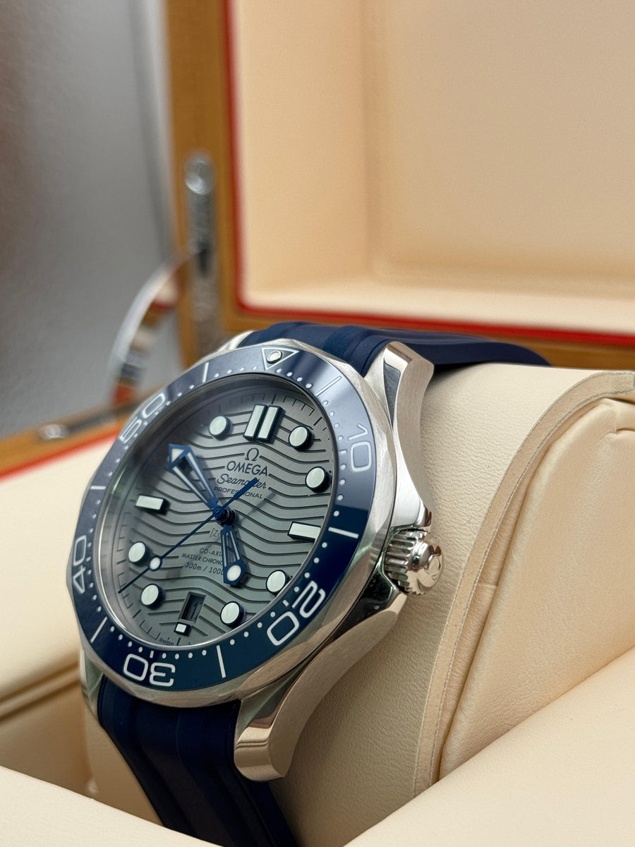 Omega Seamaster Professional 210.32.42.20.06.001 Complete Set Dated 2020