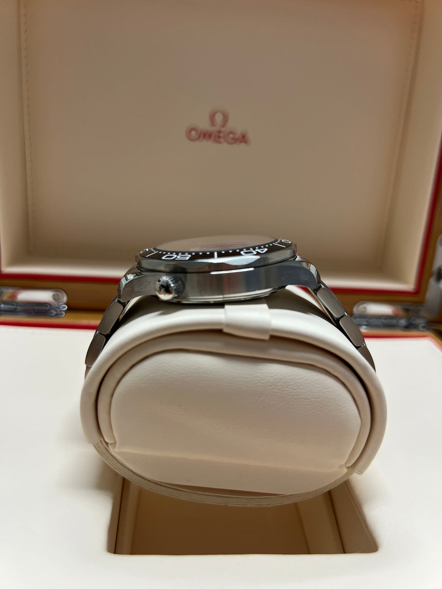 Omega Seamaster Professional 210.30.42.20.04.001 Box & Papers