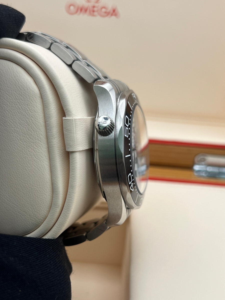 Omega Seamaster Professional 210.30.42.20.04.001 With Papers Only Dated 2021