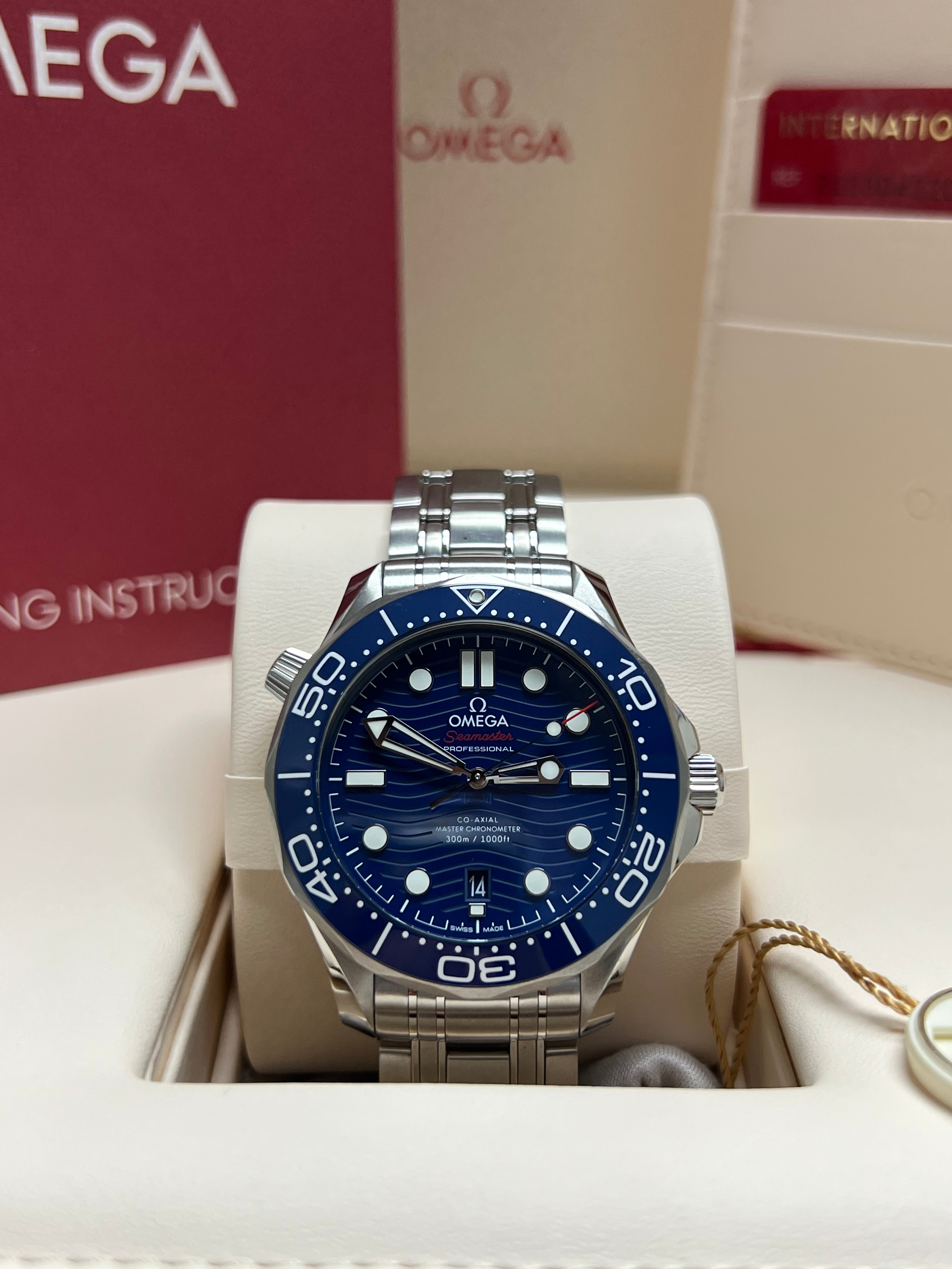 New/Unworn Omega Seamaster Professional 300M ref# 210.30.42.20