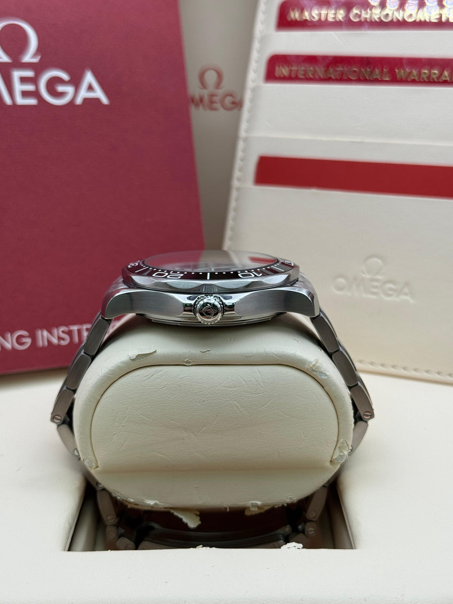 Omega Seamaster Professional 210.30.42.20.01.001 With Box & Papers Dated 2023