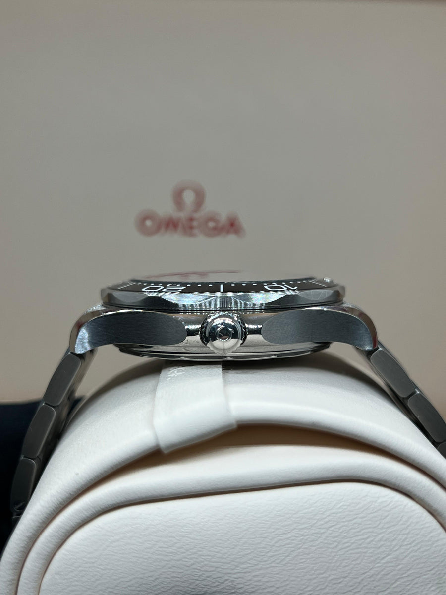 Omega Seamaster Professional 210.30.42.20.01.001 complete set