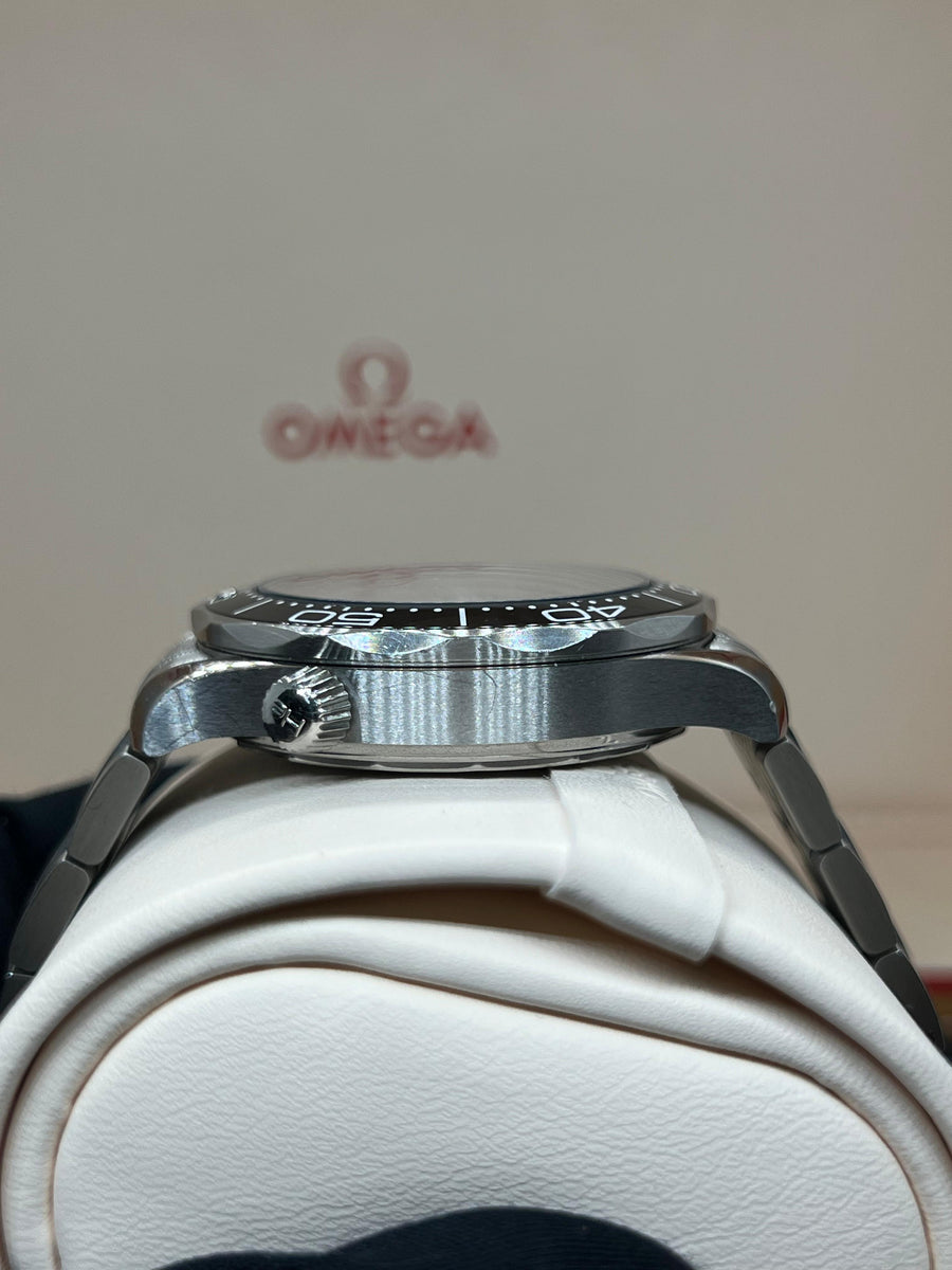 Omega Seamaster Professional 210.30.42.20.01.001 complete set