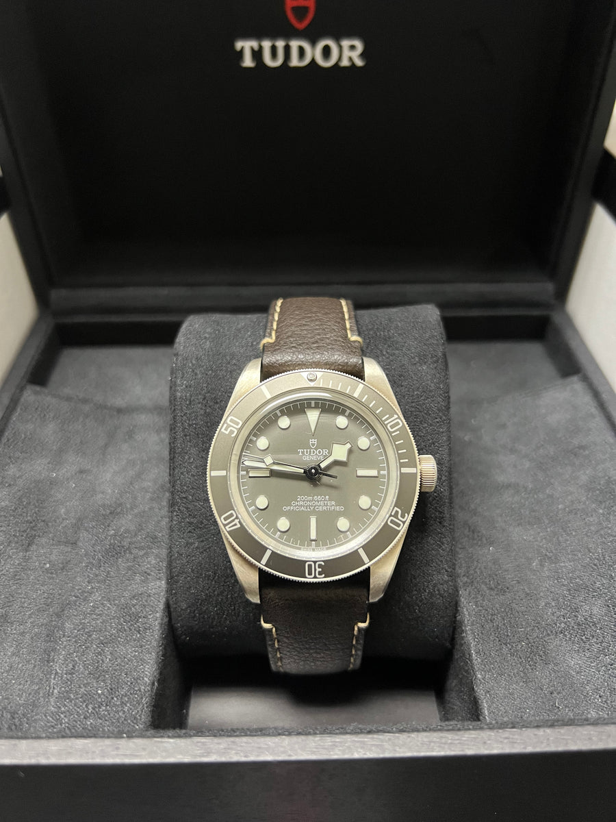 Tudor BlackBay 58th Silver M79010SG